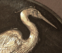 bvi_cot_blue_heron_reverse_close.png - 