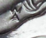 pauls_ase.png - 