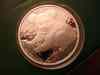 dsc05897.jpg - 2009:01:04 20:32:04