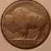 bufalo_nickle_1927_rev_01_09.cn1.1_sm.jpg - 