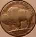 bufalo_nickle_1935_d_rev_01_09.cn1.1_sm.jpg - 
