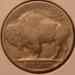 bufalo_nickle_1936_rev_01_09.cn1.1_sm.jpg - 