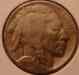 bufalo_nickle_1935_d_obv_01_09.cn1.1_sm.jpg - 