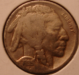 bufalo_nickle_1935_obv_01_09.cn1.1_sm.png - 
