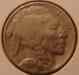 bufalo_nickle_1936_obv_01_09.cn1.1_sm.jpg - 