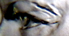 eys.png - 