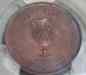 10_prot3.jpg - 2023:01:29 03:11:01