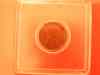 dsc05363.jpg - 2008:11:03 22:29:23