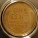 linc1909vbcrvsm.png - 