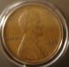 dsc05441.png - 