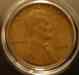 dsc05423.jpg - 2008:11:03 23:05:25
