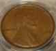 dsc05440.jpg - 2008:11:05 14:14:48