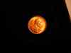 dsc05466.jpg - 2008:11:06 16:53:13