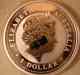 kookaburra_ob.jpg - 2008:11:10 02:44:59