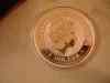dsc05490.jpg - 2008:11:10 02:45:27