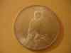 dsc05533.jpg - 2008:11:17 20:22:23