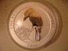 kookaburra_obv_1.png - 