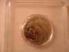 dsc05544.jpg - 2008:11:27 01:10:10
