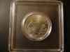 dsc05574.jpg - 2008:11:27 01:24:53