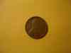 dsc05744.jpg - 2008:11:27 19:21:24