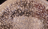 dutch_arch_obv_2008_silver_1.2.png - 