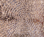 dutch_arch_obv_2008_silver_1.1.png - 