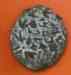 putah_8b.jpg - 2023:01:16 16:10:03