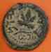 putah_1b.jpg - 2023:01:16 16:03:31