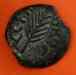 putah_3a.jpg - 2023:01:16 16:05:32