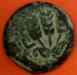 putah_5a.jpg - 2023:01:16 16:07:28
