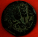 putah_5a.png - 