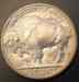 buffalo_1937_reverse_sm.jpg - 2006:03:16 12:30:36