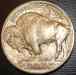 buffalo_1913_type1_reverse_sm.jpg - 2006:03:16 13:37:09