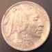 dsc00219.jpg - 2006:03:16 13:32:46
