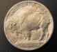dsc00227.jpg - 2006:03:16 13:35:32