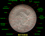 ReverseCBH-ID.png - 