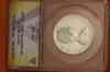 IMG_8370.JPG - 2021:09:20 13:11:35