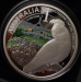 cockatoo_4.png - 