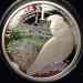 cockatoo_3.jpg - 2012:04:30 16:06:18