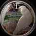 cockatoo_6.jpg - 2012:04:30 16:08:20