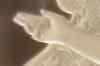 the_hand_01.jpg - 2008:04:18 16:08:04