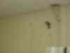 dsc04466.jpg - 2008:04:02 13:09:59
