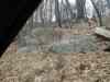 dsc04482.jpg - 2008:04:06 11:42:42