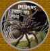 spider.jpg - 2012:07:19 08:10:26