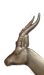 icon.png - 
