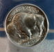 ihnickle_type1_1913_aq_2021_reverse.b.png - 