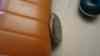 DSC07767.JPG - 2012:02:02 02:15:28