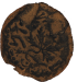judian_zion_putah_2021_r.png - 