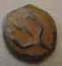 macabe_2_rev.jpg - 2012:02:02 00:48:51