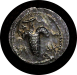 zuz_132_135_Judea_bar_kochba_year2.r.png - 